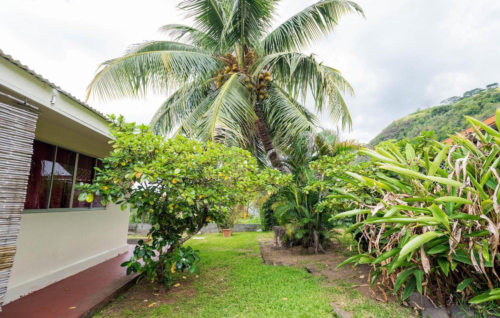 Pension Te Miti - Plage-Beach 200M - Mahana Parc & Vaiava Beach Pk18 - B&B Chambres Ou Dortoir Punaauia  Exterior photo