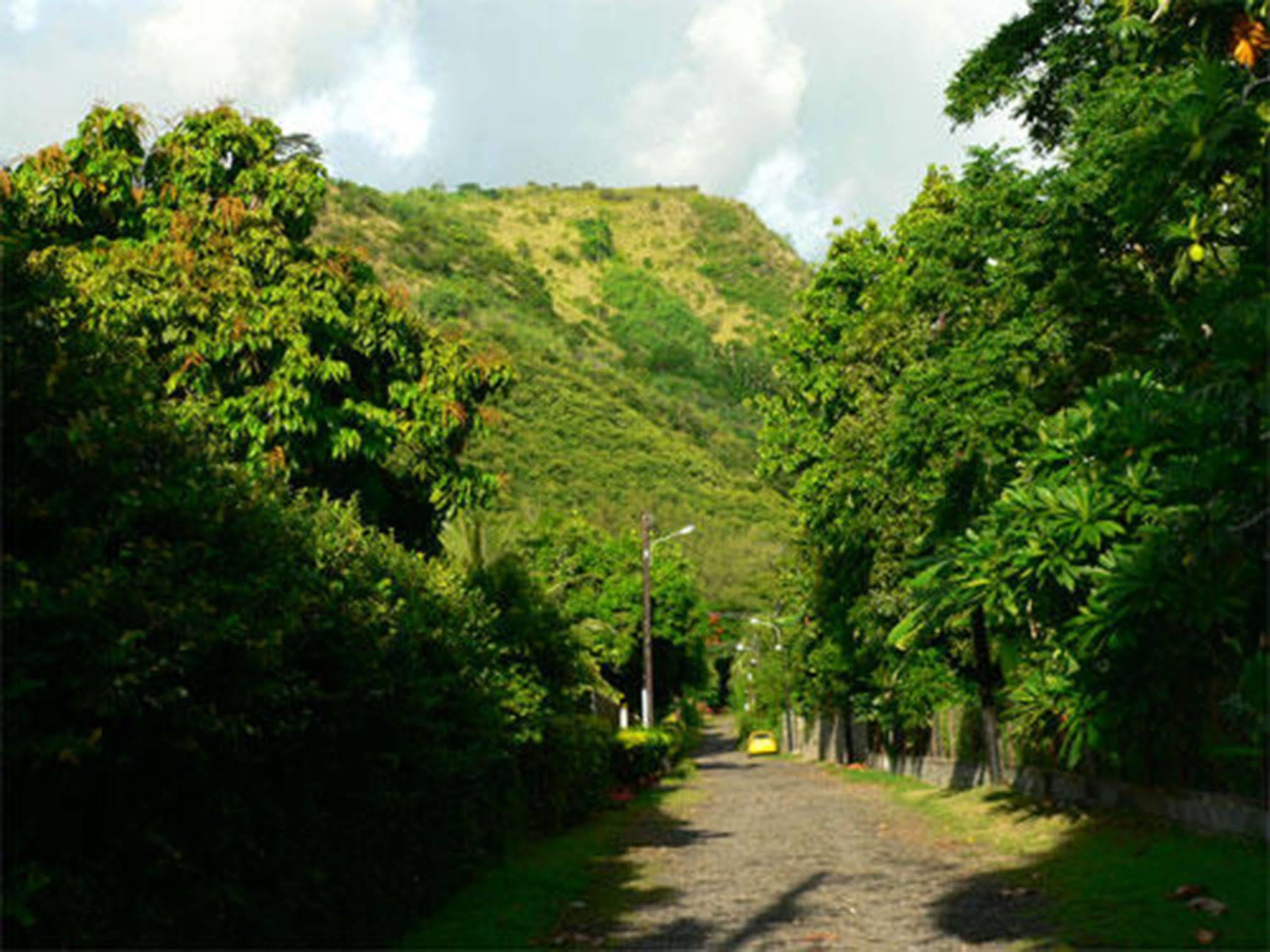 Pension Te Miti - Plage-Beach 200M - Mahana Parc & Vaiava Beach Pk18 - B&B Chambres Ou Dortoir Punaauia  Exterior photo